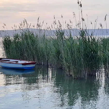Panoramic Art With Jacuzzi Apartment