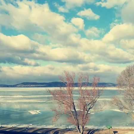 Panoramic Art With Jacuzzi Appartamento *